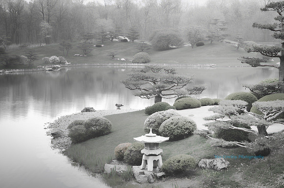 Japanese Garden
