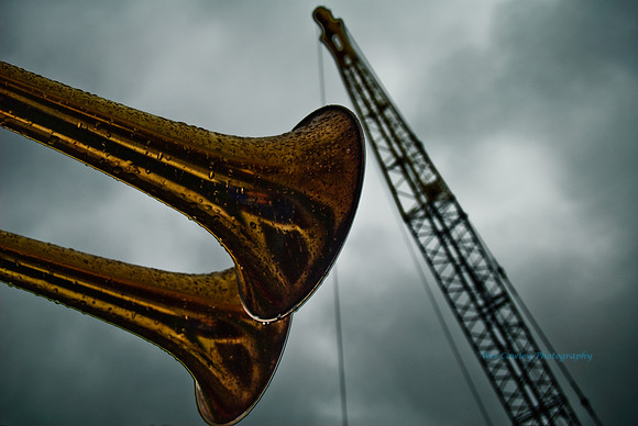 Horns